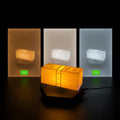 Floating Money Lamp